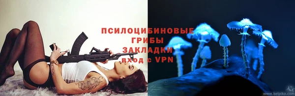прущие крисы Осташков