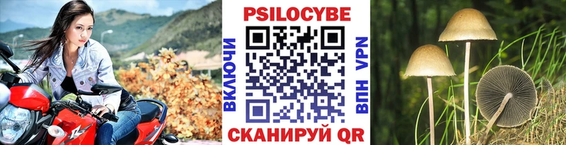 Купить закладки Кимры Псилоцибиновые грибы Psilocybe